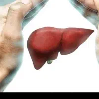 خداحافظی با کبد چرب