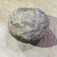 ساروج پلمپ (محتوا جیوه باستانی)