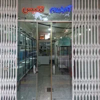 ماهی آکواریم تتیس