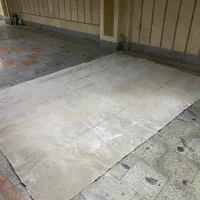 موکت پالاز ۱۲ متر