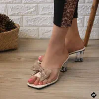 دمپایی پاپیونی زنانه مخصوص شیک پوشان|کیف، کفش، کمربند|کامیاران, |دیوار