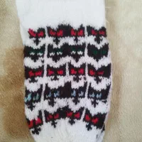 پاپوش|کیف، کفش، کمربند|رشت, کوی حسینی|دیوار