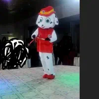 تن پوش. عروسکی. تولد.  افتتاحیه.جشن