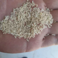 نیم دانه دمسیاه دودی سورت شده