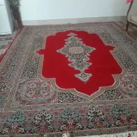 فرش نو و تمیز|فرش|کرمانشاه, |دیوار