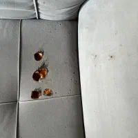 مبل ۷ نفره|مبلمان خانگی و میز عسلی|رشت, یخسازی|دیوار