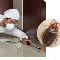 سم پاشی ساس سوسک...تضمینی صددرصدی