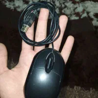 موس کوچک و اداری hp|قطعات و لوازم جانبی رایانه|گرگان, |دیوار