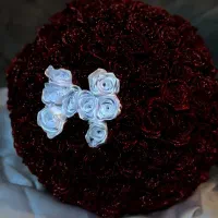 رز سفید