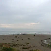 باشگاه ژیمناستیک
