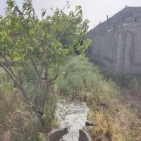 باغچه چهار دیواری