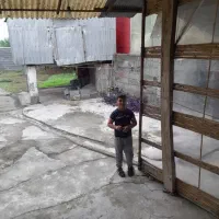 اجاره خانه در لنگرود|اجارهٔ خانه و ویلا|لنگرود, |دیوار