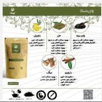 فروش چای ماسالا با طعم بی نظیر و با قیمت خرید قبل