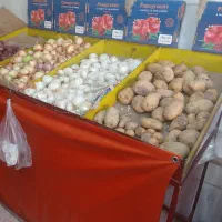 پالت میوه فروشی|حراج|کرج, فاز ۳ گوهردشت|دیوار