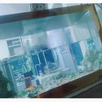 آکواریوم خیلی بزرگ وسالم