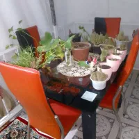 میز نهار  خوری ۴ نفره سالم در حد نو