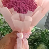یک عدد دسته گل بسیار سالم|گل و گیاه طبیعی|اهواز, فولادشهر|دیوار