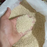 برنج لاشه فجر