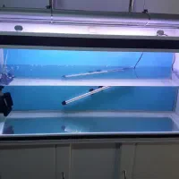 اکواریوم ۱۲۰ ماهیران|ماهی|کرج, باغستان|دیوار