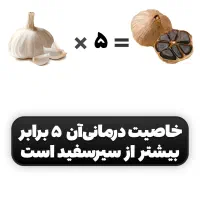 سیر سیاه|خوردنی و آشامیدنی|کرمان, |دیوار