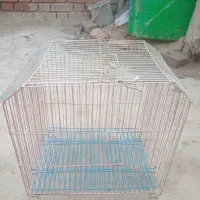 ی عدد قفسه پرنده