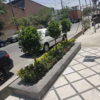 امور باغبانی کودهی هرسکاری بیل زدن تعویض خاک گلدان|خدمات باغبانی و درختکاری|تهران, تجریش|دیوار