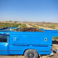 کود گوسفندی درجه یک پول دو گونی کود|خدمات باغبانی و درختکاری|باروق, |دیوار