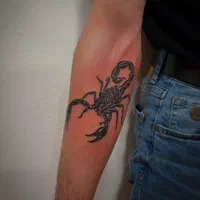 تتو بدن|خدمات آرایشگری و زیبایی|پردیس, فاز ۹|دیوار