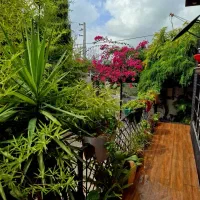 ویلا مبله کامل استخر دار محمودآباد|اجارهٔ خانه و ویلا|محمودآباد, |دیوار