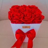 ۹شاخه همراه باکس فقط ۳۵۰|گل مصنوعی|ایلام, |دیوار