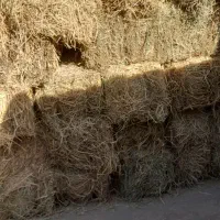 پرس پوشال برنج