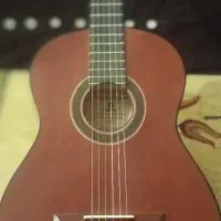 گیتار نو