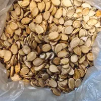 تخم ‌هندوانه|گل و گیاه طبیعی|گرگان, |دیوار