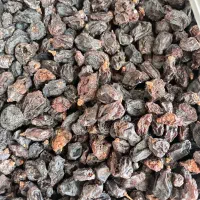 مویز ایرانی