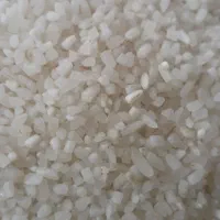 برنج هاشمی و علی کاظمی