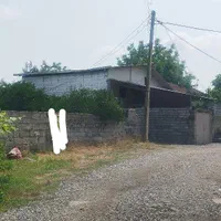 فروش زمین ۲۵۰ متری در روستای دونه سر بابل|فروش زمین و ملک کلنگی|تهران, شادآباد|دیوار