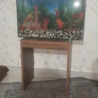 آکواریوم درجه 1