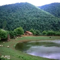 تور یک روزه فرداجمعه 14 آذر|تور و چارتر|رشت, لاکان شهر|دیوار