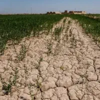 فروش زمین طرح حبیبی