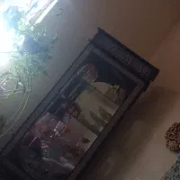 بوفه|بوفه، ویترین، کنسول|جیرفت, |دیوار