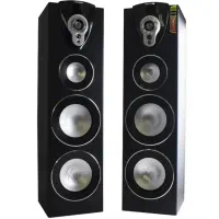 اسپیکر سطح حرفه ای کمیاب اندونزی پولیترون مدلXBR