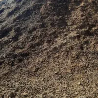 پهن گوسفندی