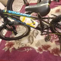 المپیا29 اورتیگا20