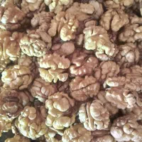 گردو سفید روغنی ضیاءآباد|خوردنی و آشامیدنی|ضیاء آباد, |دیوار