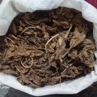 برک قرمز خوب