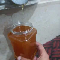 عسل صددرصد خالص طبیعی بشرط آزمایش ساکاروز یک درصد|خوردنی و آشامیدنی|شیراز, شهدای شهرک سعدی|دیوار