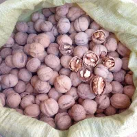 گردو هزارمسجد