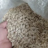 تخمه کدو|خوردنی و آشامیدنی|بهار, |دیوار