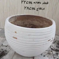 گلدان سفالی|گل و گیاه طبیعی|تهران, شهرک شهید باقری|دیوار