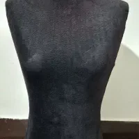 مانکن سوزن خور